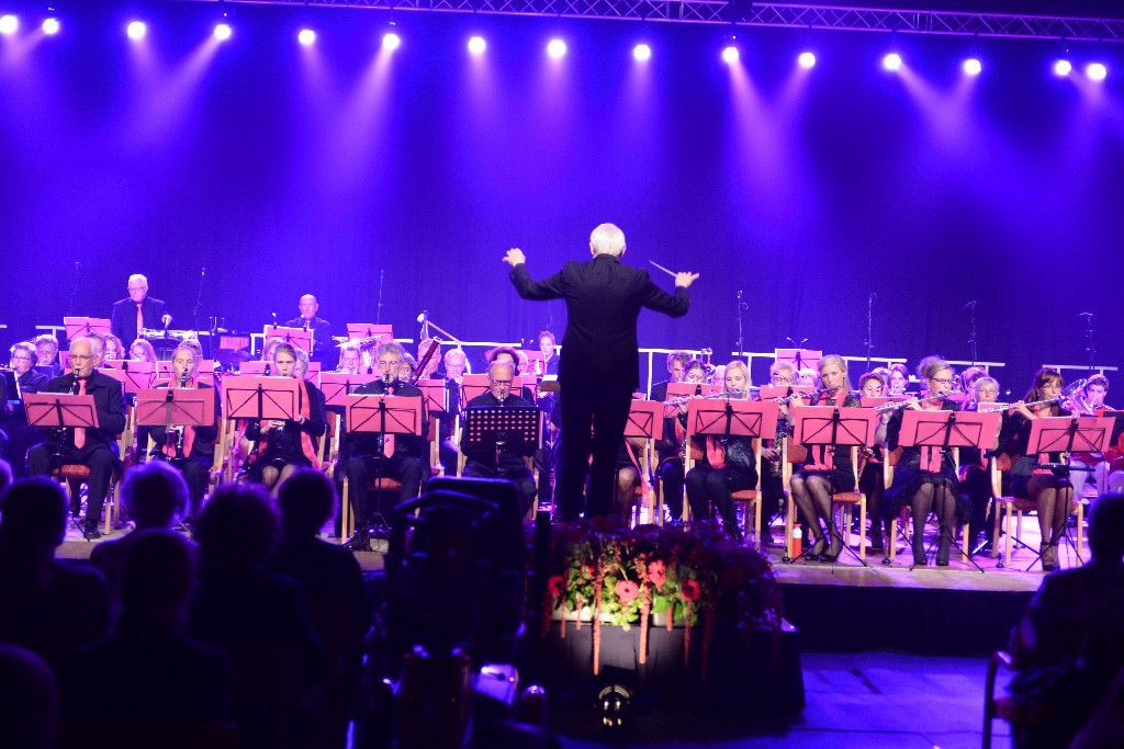 ../Images/Jubileumconcert 100 jaar Harpe Davids 047.jpg